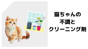 猫ちゃんをボディーコードで調整！猫の不調とアパートのクリーニング剤
